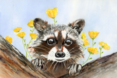 Buttercup