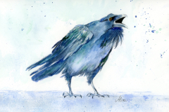 Ravenspeak