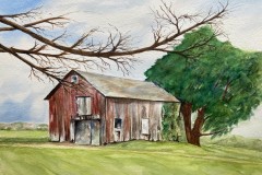 IMG_0548