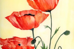 Poppies20210401_14323765-copy-1