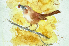 Mortimer-Arlene-House-Wren-Watercolor-6x6