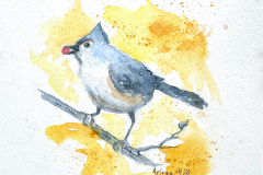 Mortimer-Arlene-Tufted-Titmouse-Watercolor-6x6