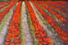 thumbnail_IMG_0537