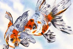 goldfish-600