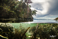 Half-Under-the-Salish-Sea-June-2023-2