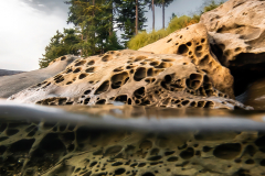 Sandstone-Under-the-Salish-Sea-summer-2023