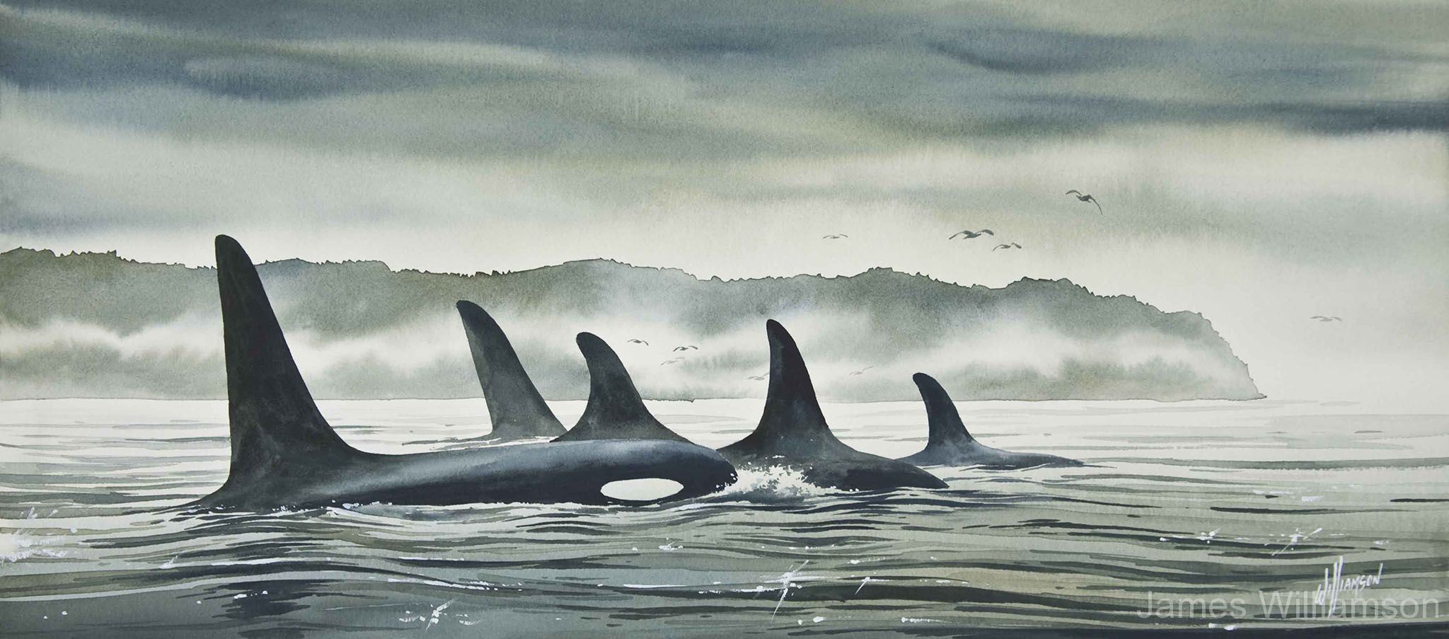 Williamson_J_08_Realm-of-the-Orca