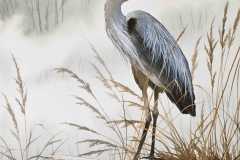 Herons-Serene-Shore-copy_edited-2