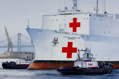AmNav Tugs Assisting MERCY