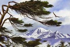 Williamson_J_02_Northwest-Majesty