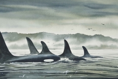 Williamson_J_08_Realm-of-the-Orca