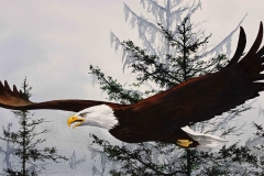 eagle-painting-003_edited-2