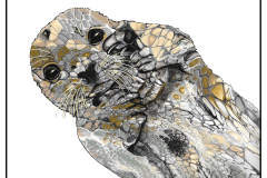 Harbor Seal 4.33x5.59 in - 1