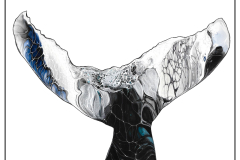 Humpback 4.33x5.59 in - 1