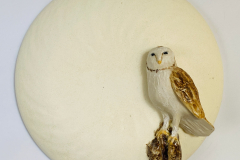 Barnowl Moon