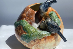 Bushtits on altered form