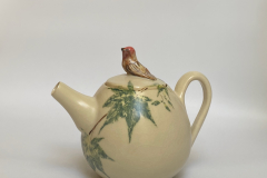 House Finch on teapot