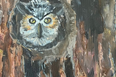 C88B46C0-66DF-493D-98DE-855057F17A4E_1_105_c_1