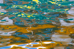 IMG_3343-Enhanced-NR