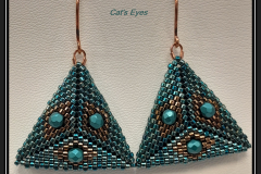 Cat_s-Eyes