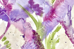 Photo-Apr-28-2023-12-34-27-PM