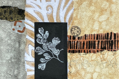 Photo-Feb-28-2024-2-25-48-PM