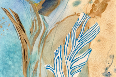 Photo-May-11-2024-4-08-00-PM