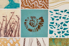 Photo-Nov-27-2024-8-51-01-AM