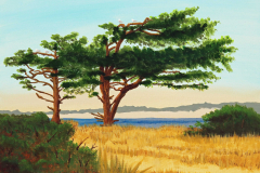 Appleton-Seagulls-Sentinel-acrylic-16x20