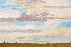 Summer-Field-by-Norma-Appleton-edit-2-Small