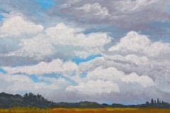 Sunlit-Summer-Meadow-by-Norma-Appleton-edit-2-Small