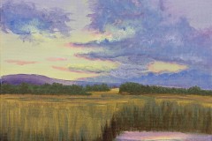 Twilight-Marshland-by-Norma-Appleton-edit-1Small