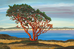 coastal-madrone_acrylic_18x24_norma-appleton