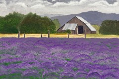 country-lavender-delight-by-Norma-Appleton-Small