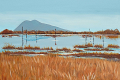 lummi-island-view_acrylic_16x20_norma-appleton