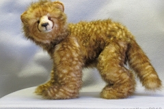 cheetah-baby_Pam-Pontious