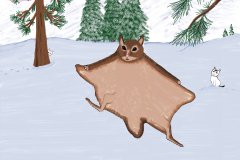 peggysullivandigitalpainting12x12-Flying-Squirrel