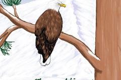 peggysullivandigitalpainting12x12Baldeagle