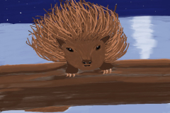 peggysullivandigitalpainting12x12porcupine