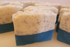 Sea-Salt-and-Driftwood-Soap
