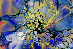 bloom