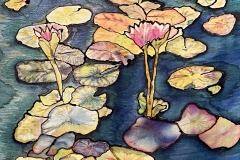 Lilly-Pond