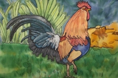 Maui-Chicken